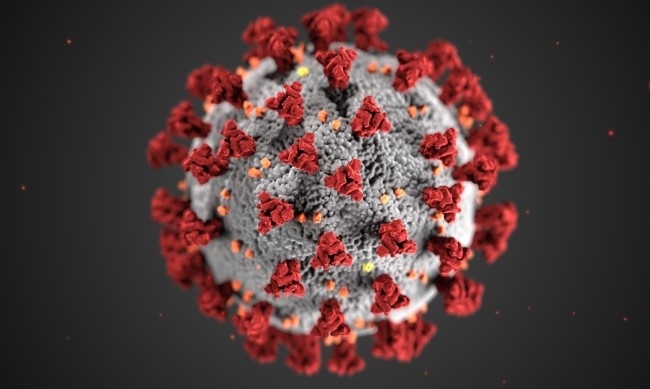 1496 нови случая на коронавирус у нас, положителни са 24% от изследваните