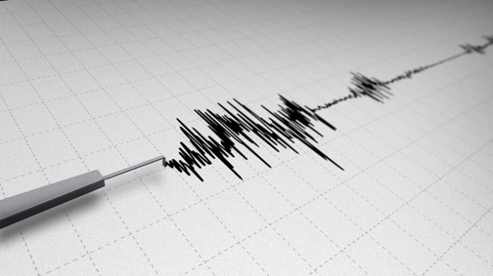 Земетресение с магнитуд 4,3 удари Турция